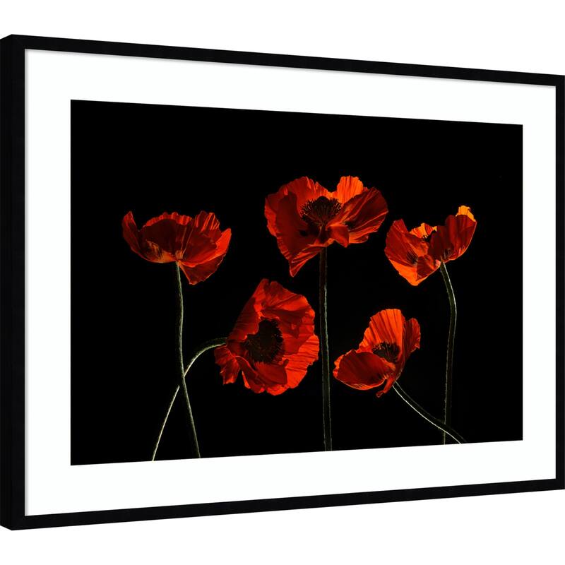 Five Red Poppies by Lydia Jacobs Wood Framed Wall Art Print