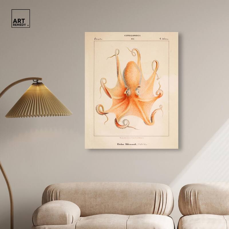 Verany The Octopus 1815 II Canvas by Art Remedy, Gallery Wrapped