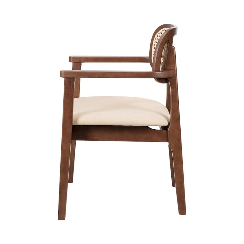 Christopher Knight Home - Sorin Modern Rattan and Upholstered Indoor Dining Chair with Armrest - Set of 2