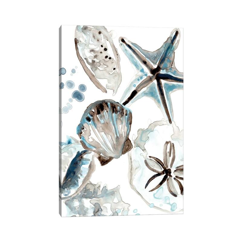 iCanvas "Cerulean Seashells I" by June Erica Vess Canvas Print