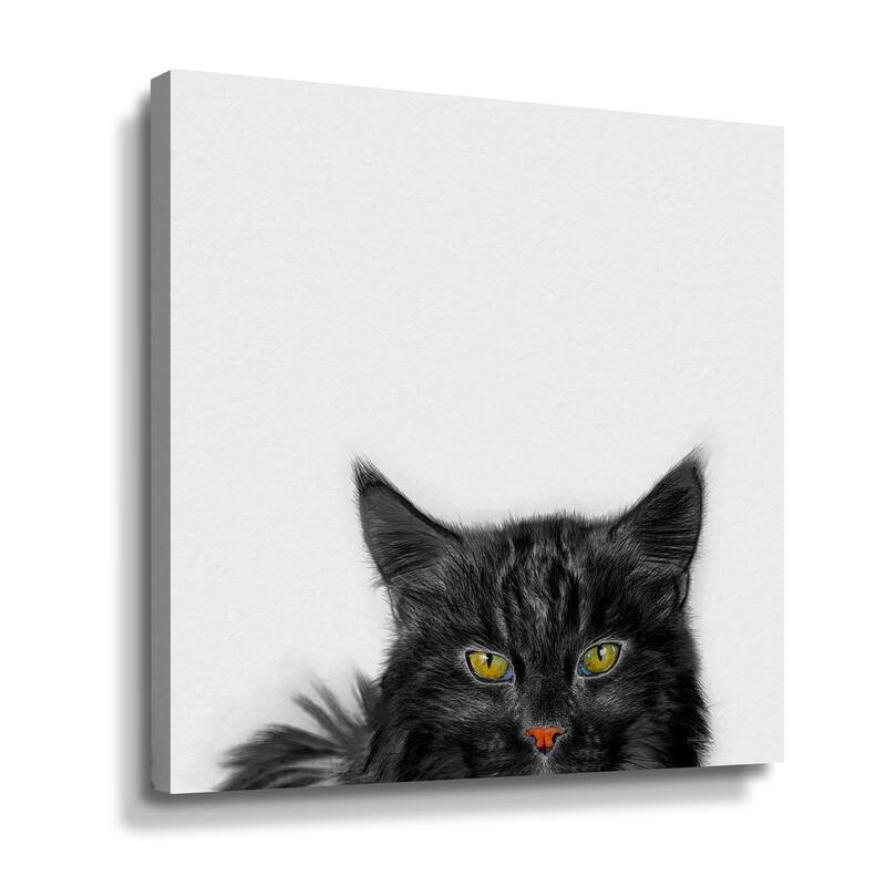 Maine Coon Black Cat by Cora Niele Gallery Wrapped Canvas - Bed Bath ...