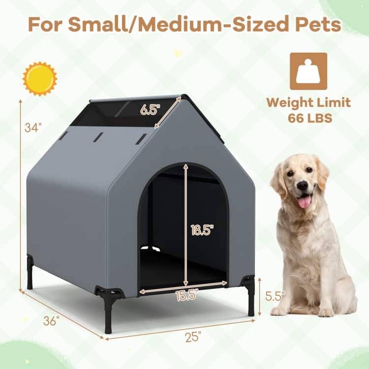 Outdoor Elevated Pet House with Ventilated Windows