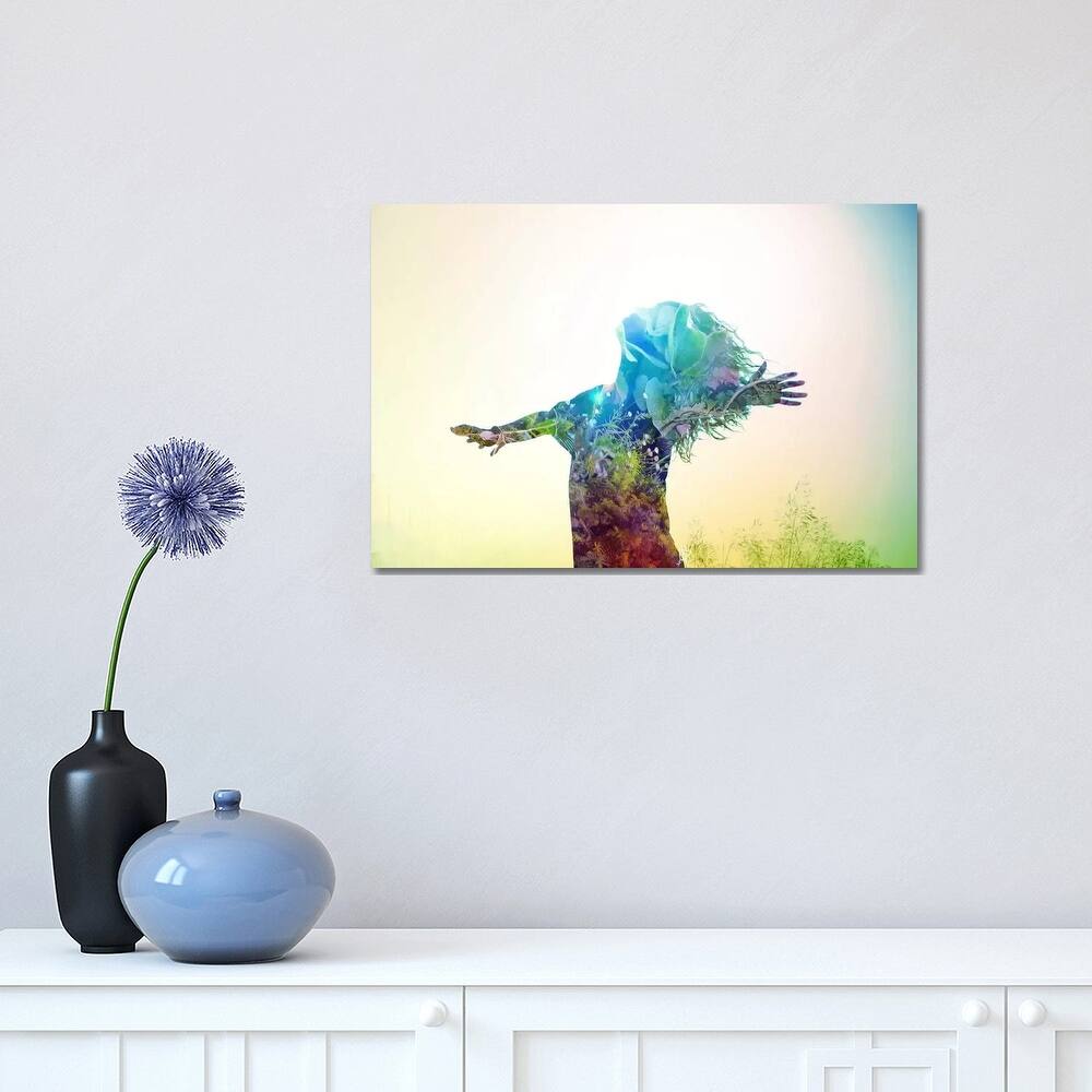 iCanvas "Release" by Mario Sanchez Nevado Canvas Print