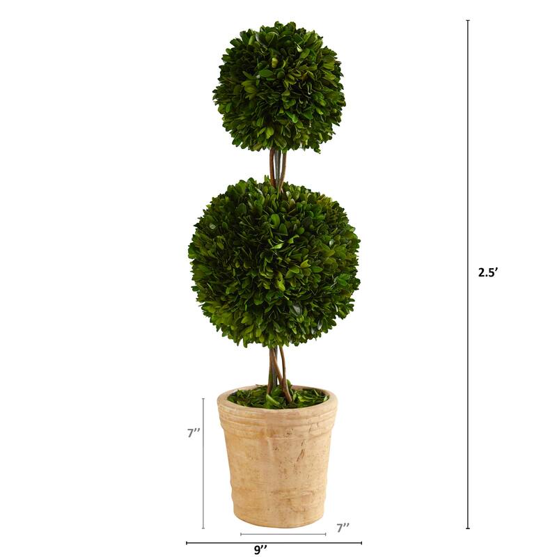 Double Ball Topiary Tree - 2.5 Ft Indoor Greenery with Planter, Preserved Moss Design, Home Office Decor - Green