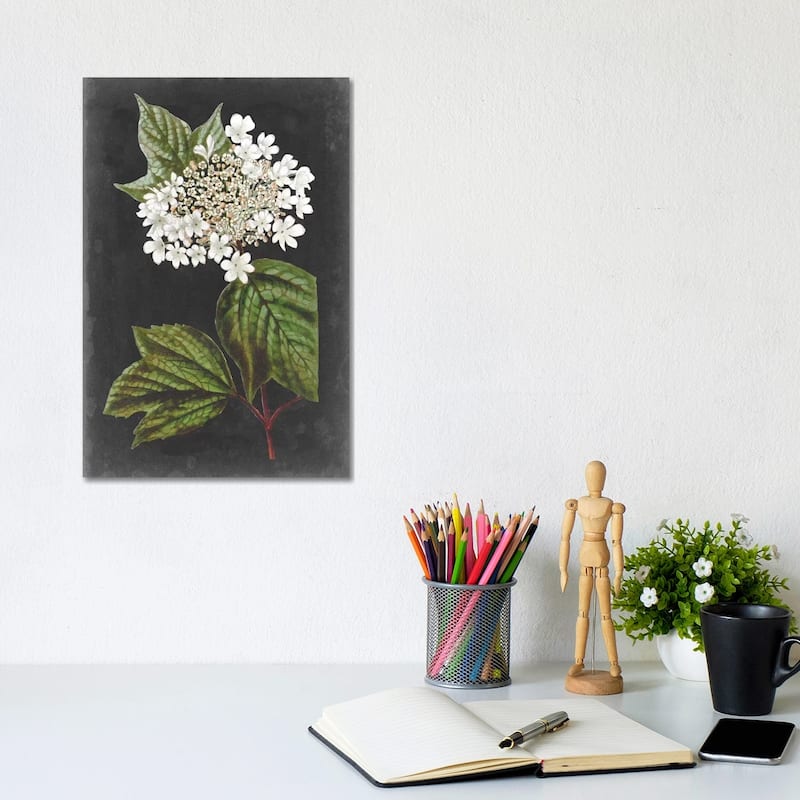 iCanvas "Dramatic White Flowers III" by Vision Studio Canvas Print - 12x8x0.75