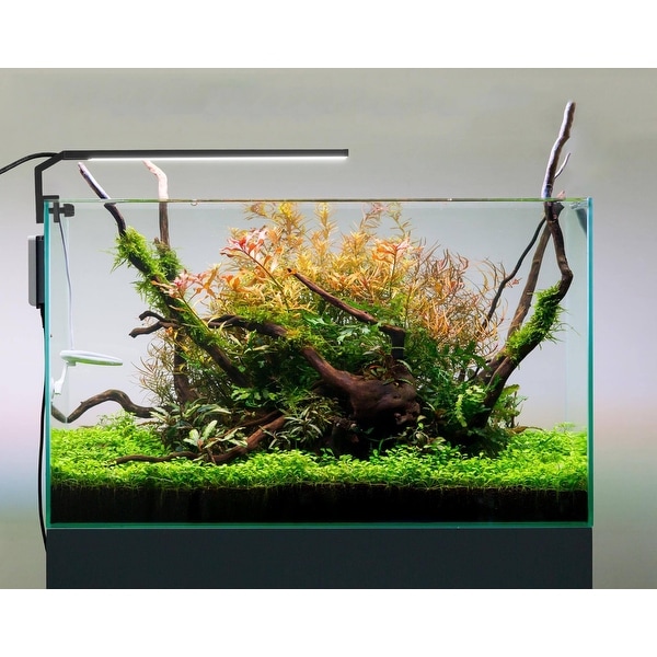 freshwater aquarium lighting