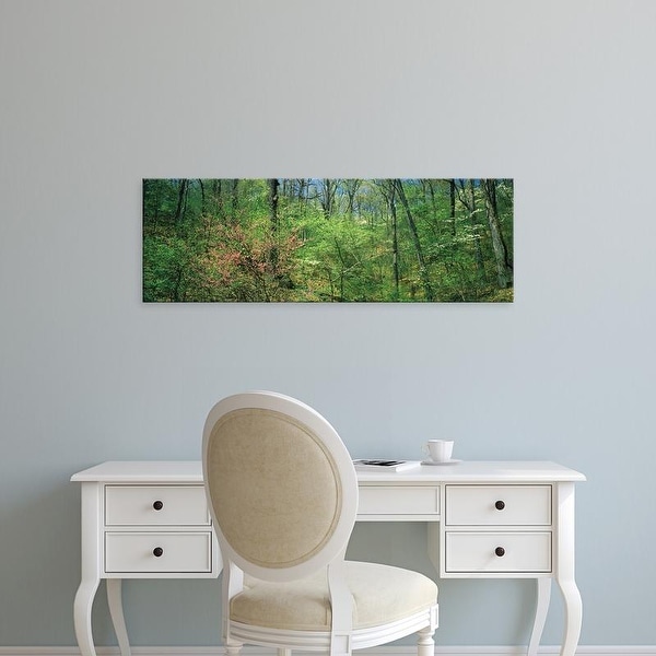 Easy Art Prints Panoramic Images's 'Forest, Trail of Tears, Shawnee National Forest, Illinois, USA' Premium Canvas Art