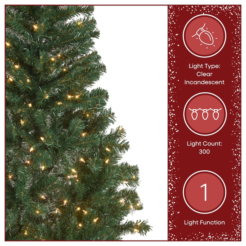 National Tree Company 6 ft. Acacia Christmas Tree with Clear Lights - 6 Foot