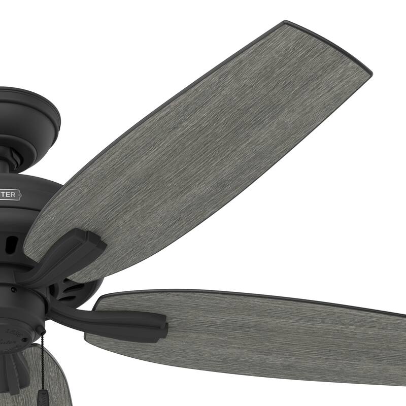 Hunter 52" Newsome Ceiling Fan with Pull Chain - Traditional - Casual