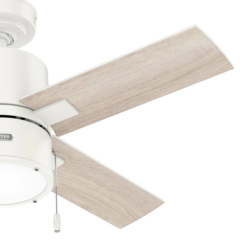Hunter 42" Beck Ceiling Fan with LED Light Kit and Pull Chain - Transitional, Modern, Industrial