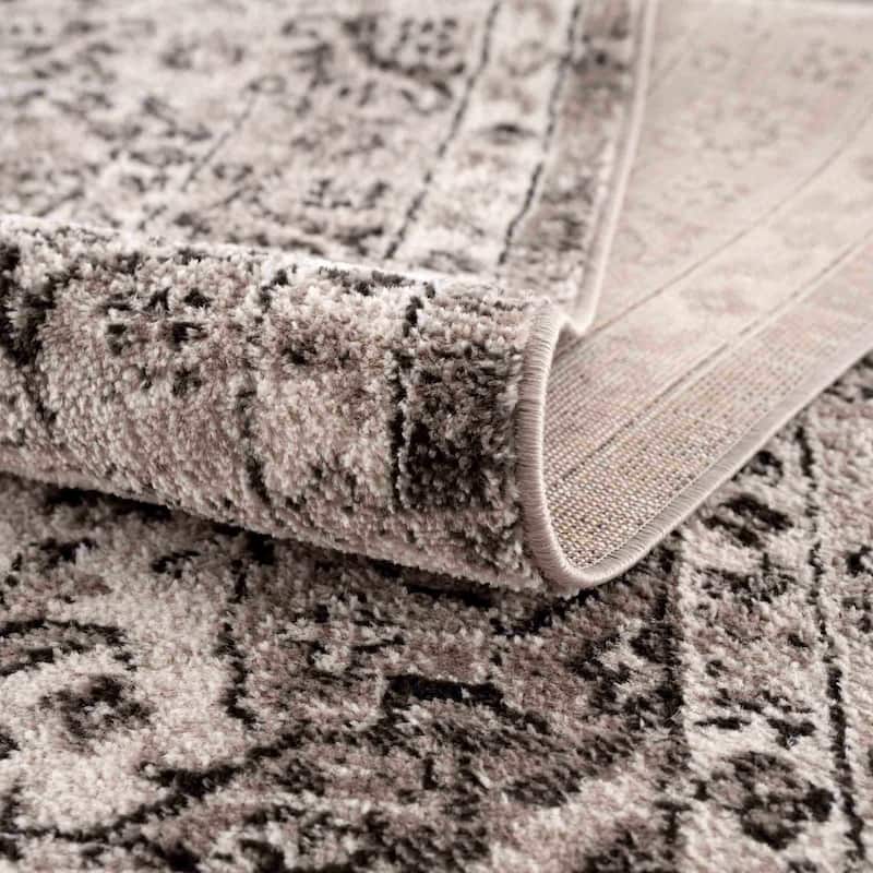 Albie Oriental Persian Medallion Area Rug
