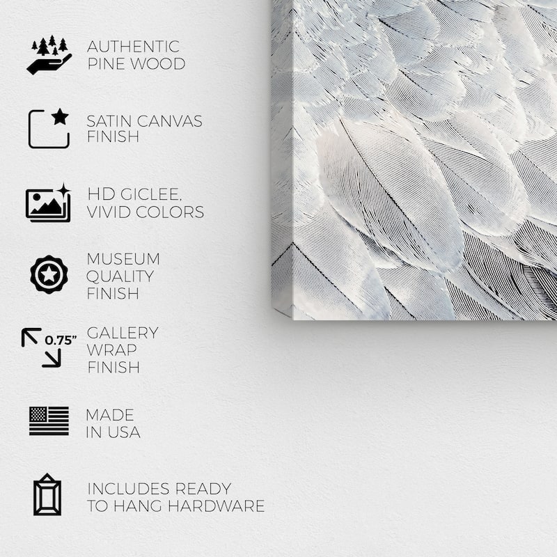 Wynwood Studio Canvas Animals Dove Back Gray and Silver Modern & Contemporary Wall Art Canvas Print