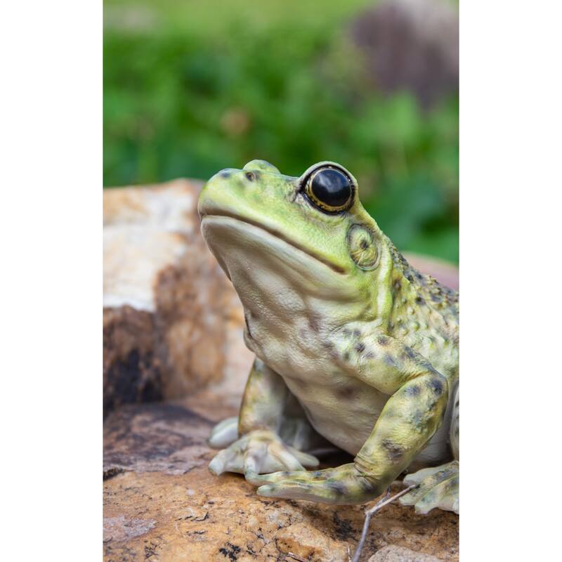 6.5" American Bullfrog Outdoor Garden Statue