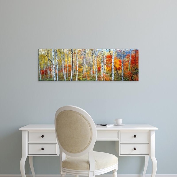Easy Art Prints Panoramic Images's 'Fall Trees, Shinhodaka, Gifu, Japan' Premium Canvas Art