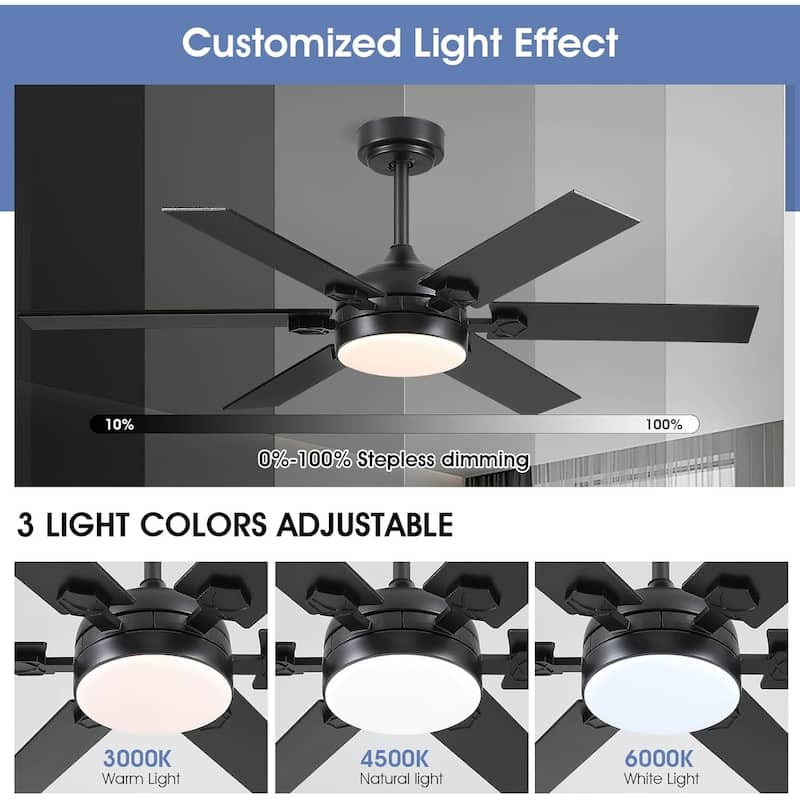 46 / 52 Inches Downrod Ceiling Fan with Light and Remote,6 Dual Side Blades