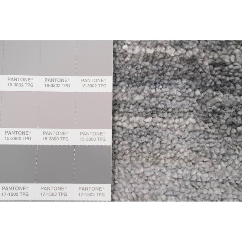 Hand Knotted Oriental Viscose Silk Carpet Tribal Animal Pictorial Greys & Charcoal Gabbeh Area Rug - 11' 9'' X 9' 2''