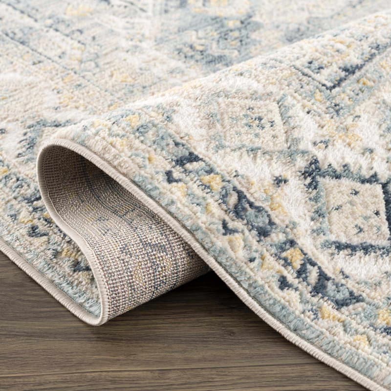 Brend Traditional Oriental Medallion Area Rug
