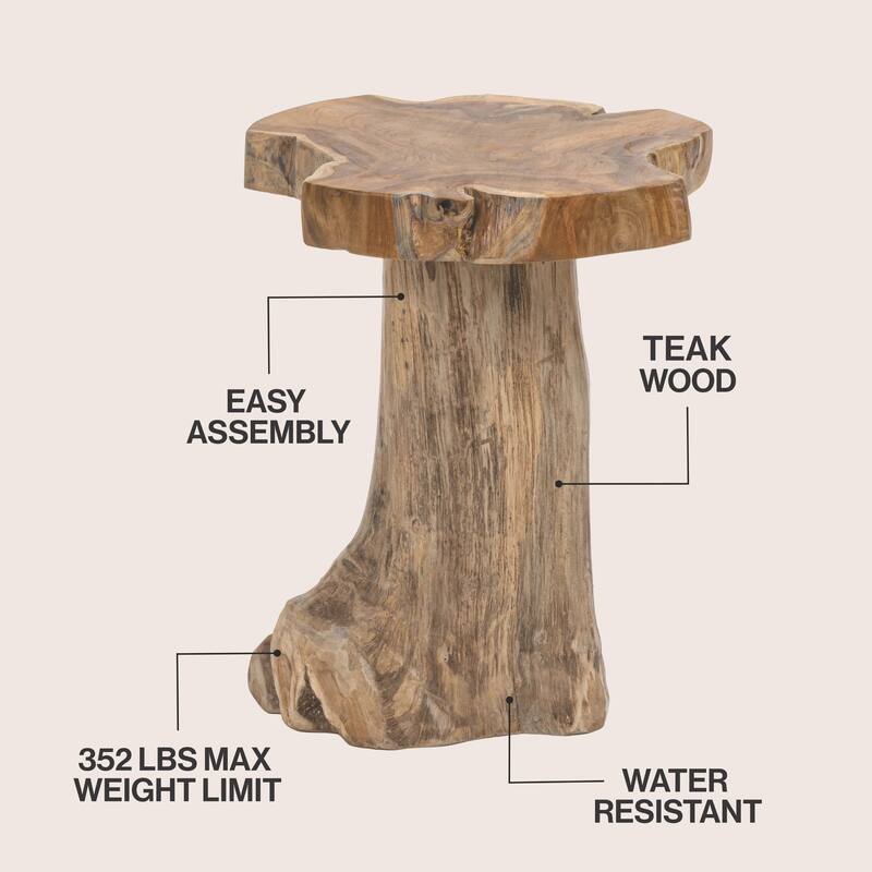 JONATHAN Y Amara Rustic Modern Handcrafted Live Edge Solid Teak Wood Stump Stool