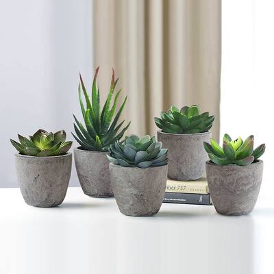 5Pcs Artificial Cactus Plants With Gray Pots,For Home Decor