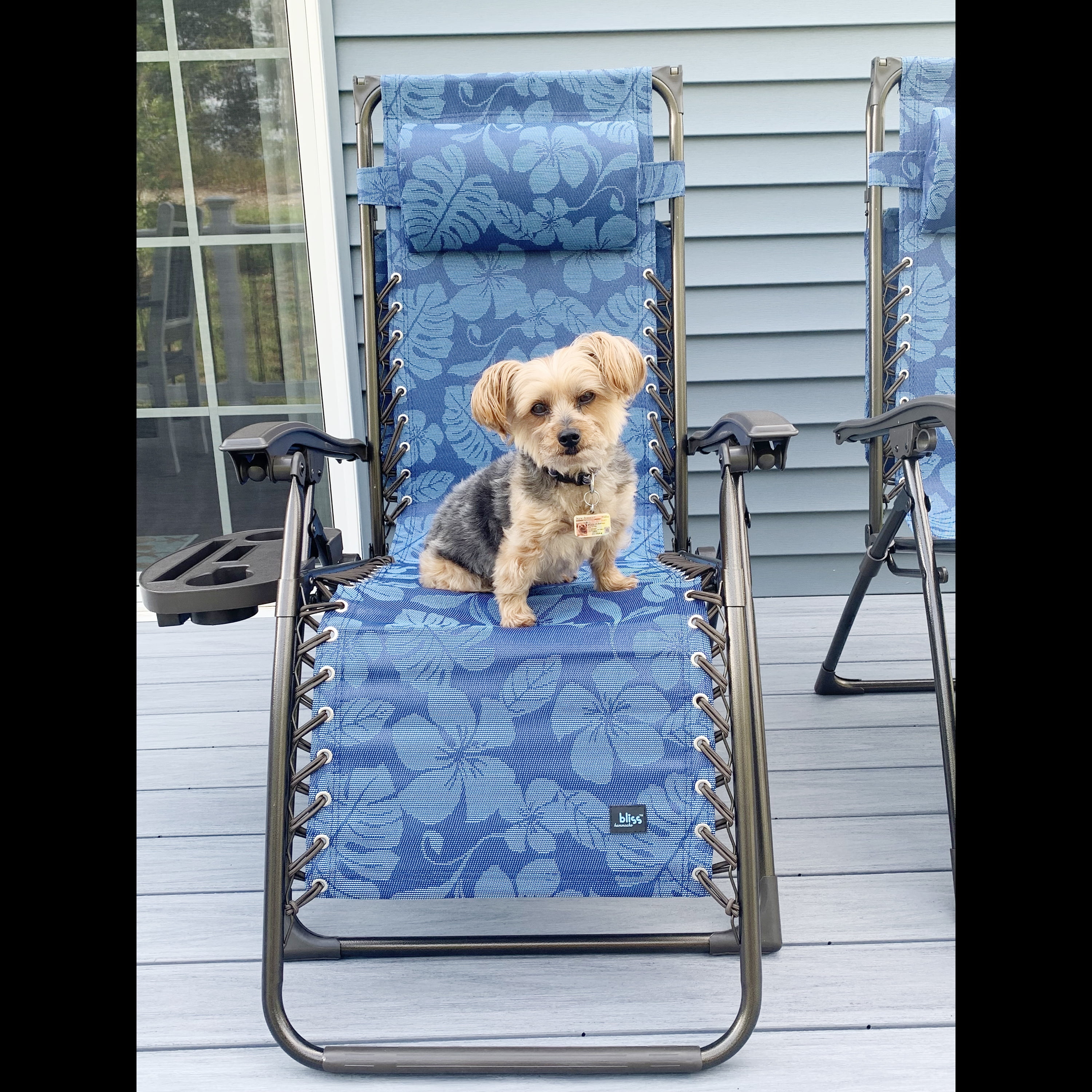 Blue Flower 26 Wide Zero Gravity Chair w Adjustable Canopy Drink Tray Pillow 300 Lb. Capacity Bed Bath Beyond 37861949