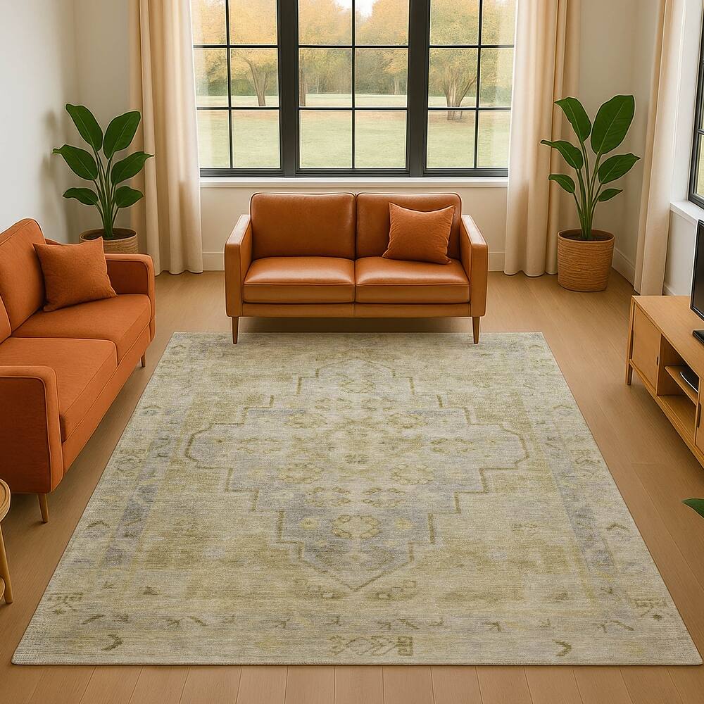 Premium Washable Super Soft Vintage Traditional Mayfield Rug