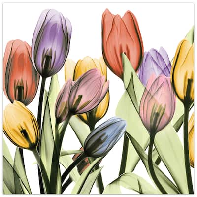 "Tulip Scape x-ray I" Frameless Free Floating Reverse Printed Tempered Art Glass Wall Art