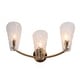 preview thumbnail 27 of 25, Fenro Modern 3-Light Luxury Brass Bathroom Vanity Light Textured Glass Wall Sconce