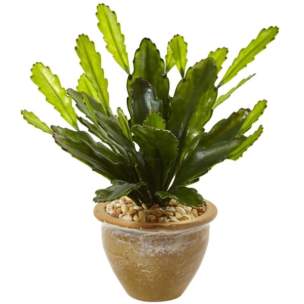 Nearly Natural Home Decor Double Cactus In Glazed Clay Pot