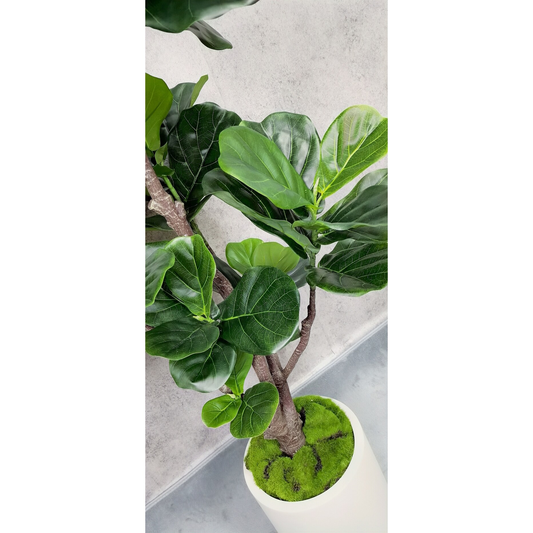 product-thumb