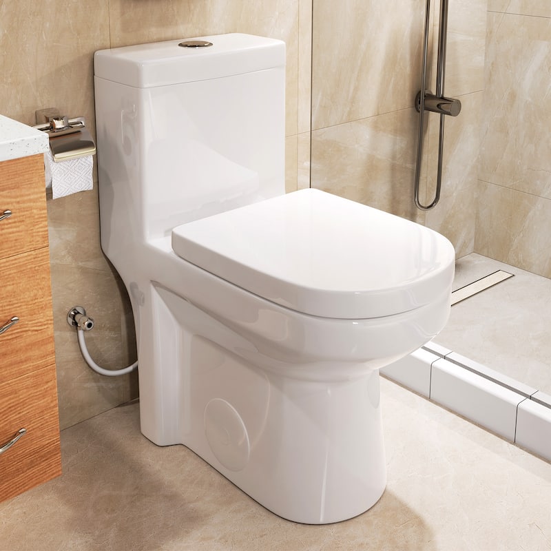 HOROW One-piece 0.8/1.28 GPF Dual Flush Round Toilet in White Seat Included -- 12" Rough in - White