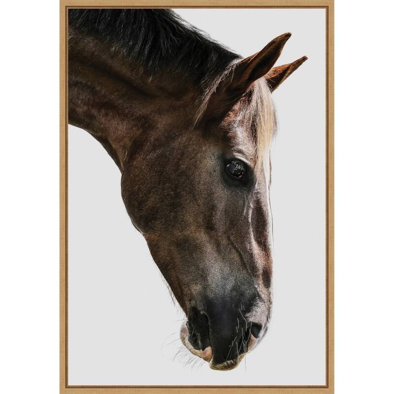 Majestic Equine Gaze by Shot by Clint (23 x 33 in.), Framed Canvas Wall Art Print