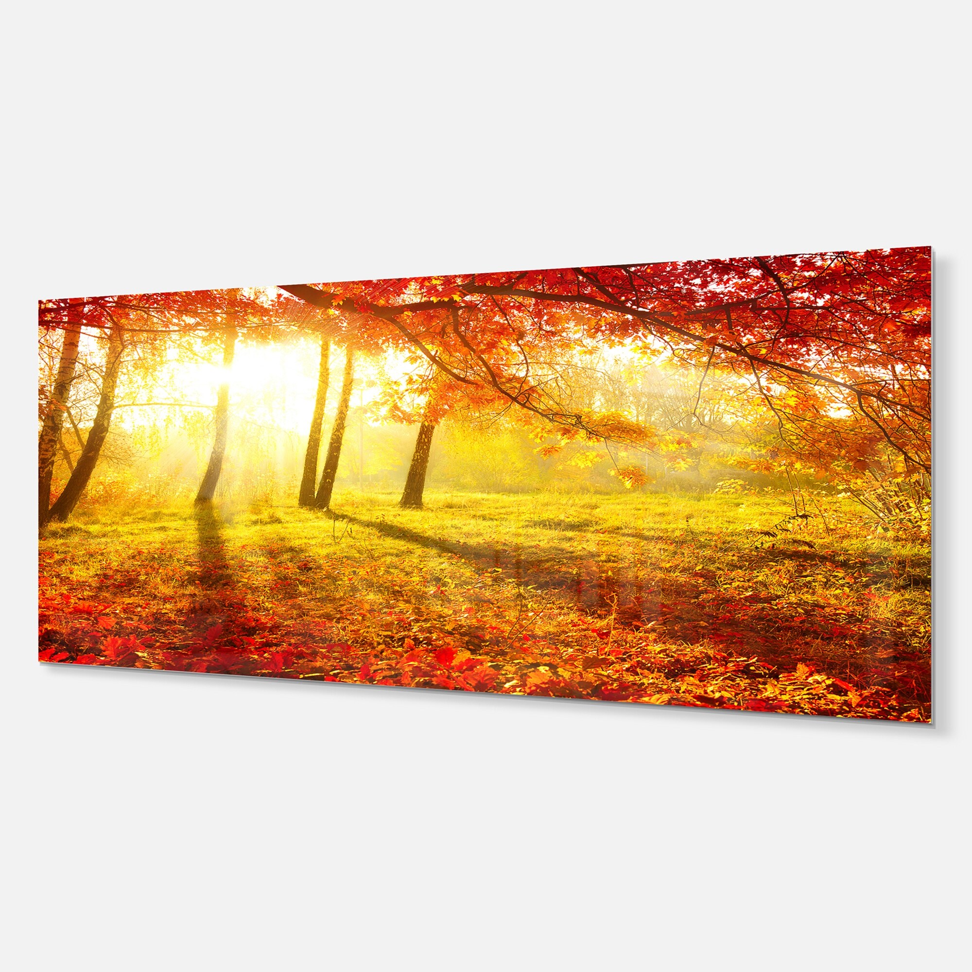 Designart 'Autumnal Park' Landscape Photography Metal Wall Small - Picture 8 of 15