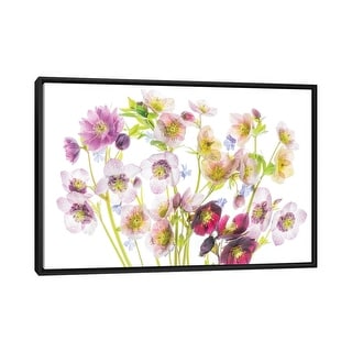 iCanvas "Floral Display" by Dennis Frates Framed