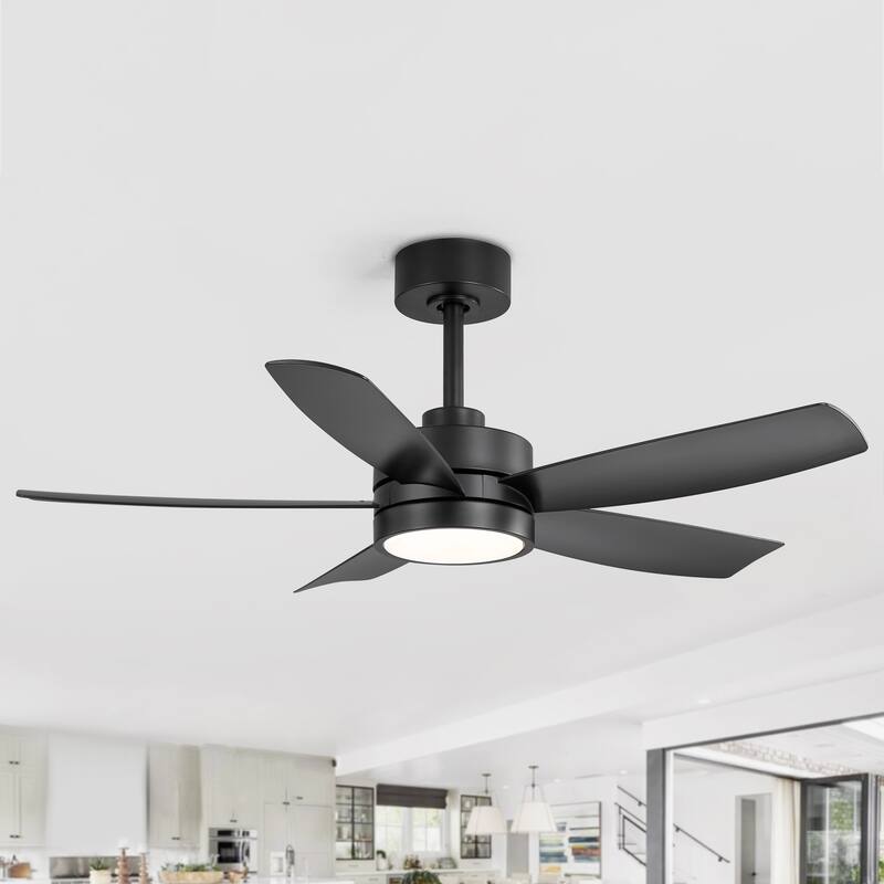 Breezary 65"/52"/42" 5-Blade LED Ceiling Fan with Light Kit and Remote
