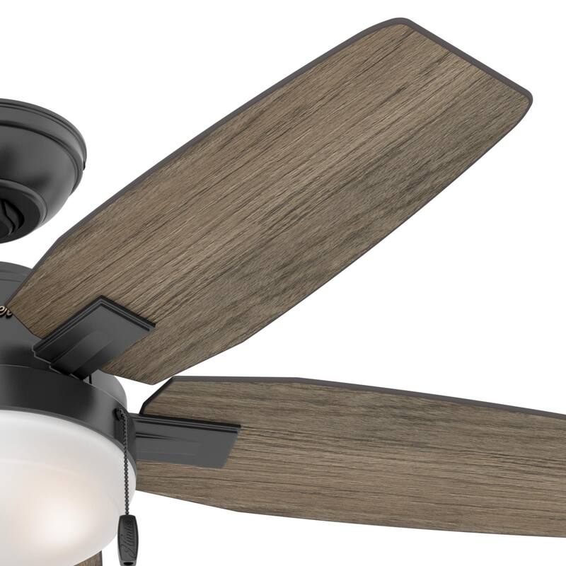 Hunter Morgantown Ceiling Fan with LED Light, Pull Chain - Transitional, Contemporary