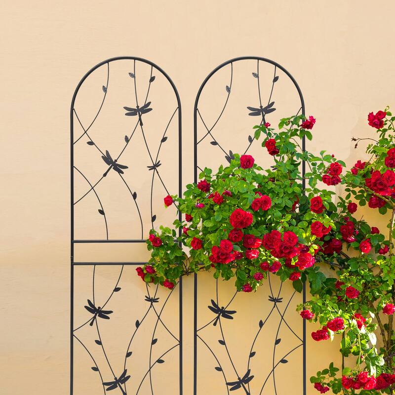 Metal Garden Trellis