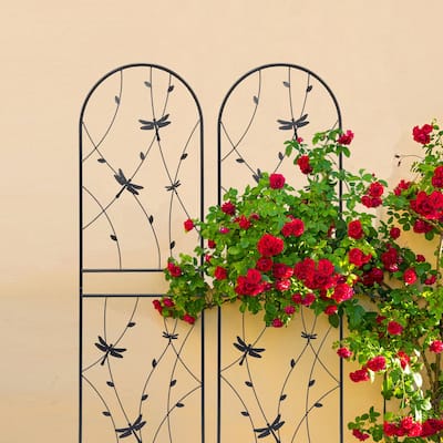 Metal Garden Trellis