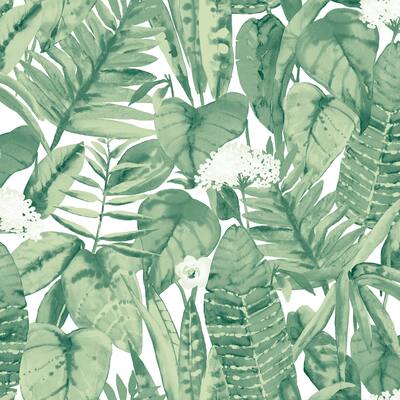Tropical Removable Peel and Stick Wallpaper