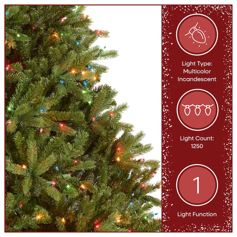 National Tree Company 7.5 ft. Jersey Fraser Fir Tree - 7.5 Foot