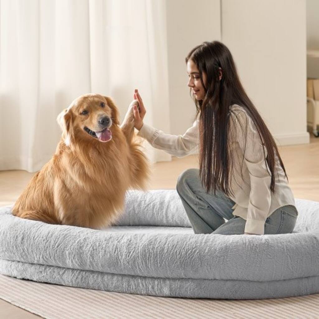 Grey Polyester Portable Large Human Size Dog Bed Suitable for Any Room