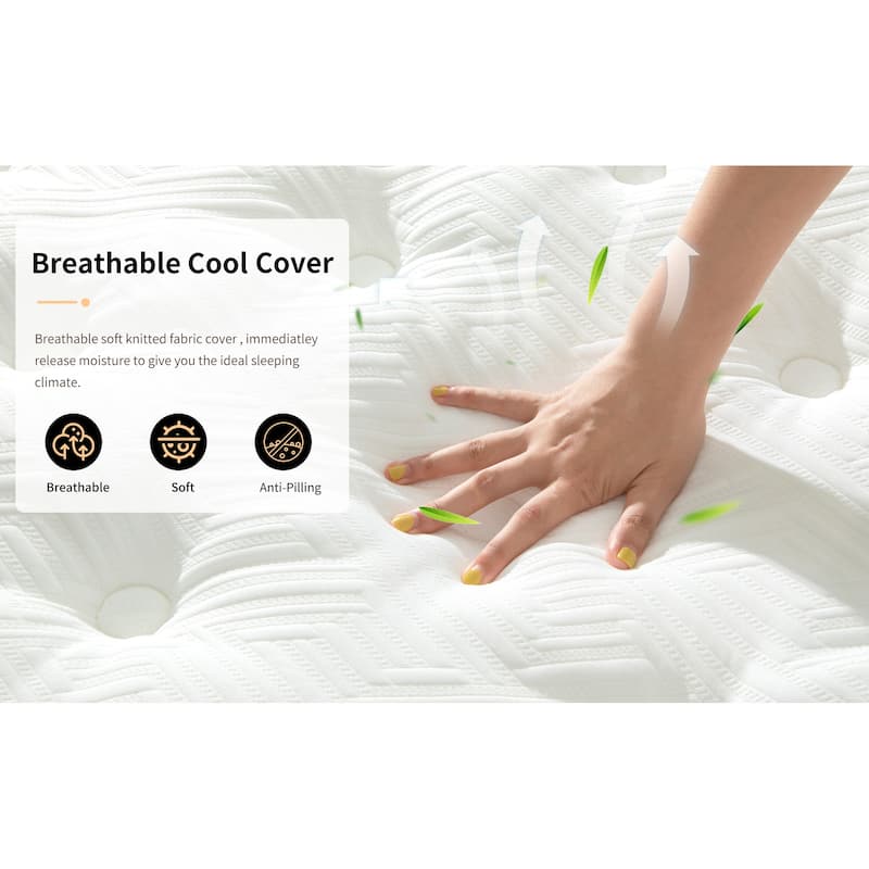 12-Inch Mattress w/Individual Pocket Spring, Zoned Memory Foam and Breathable Knitted Cover
