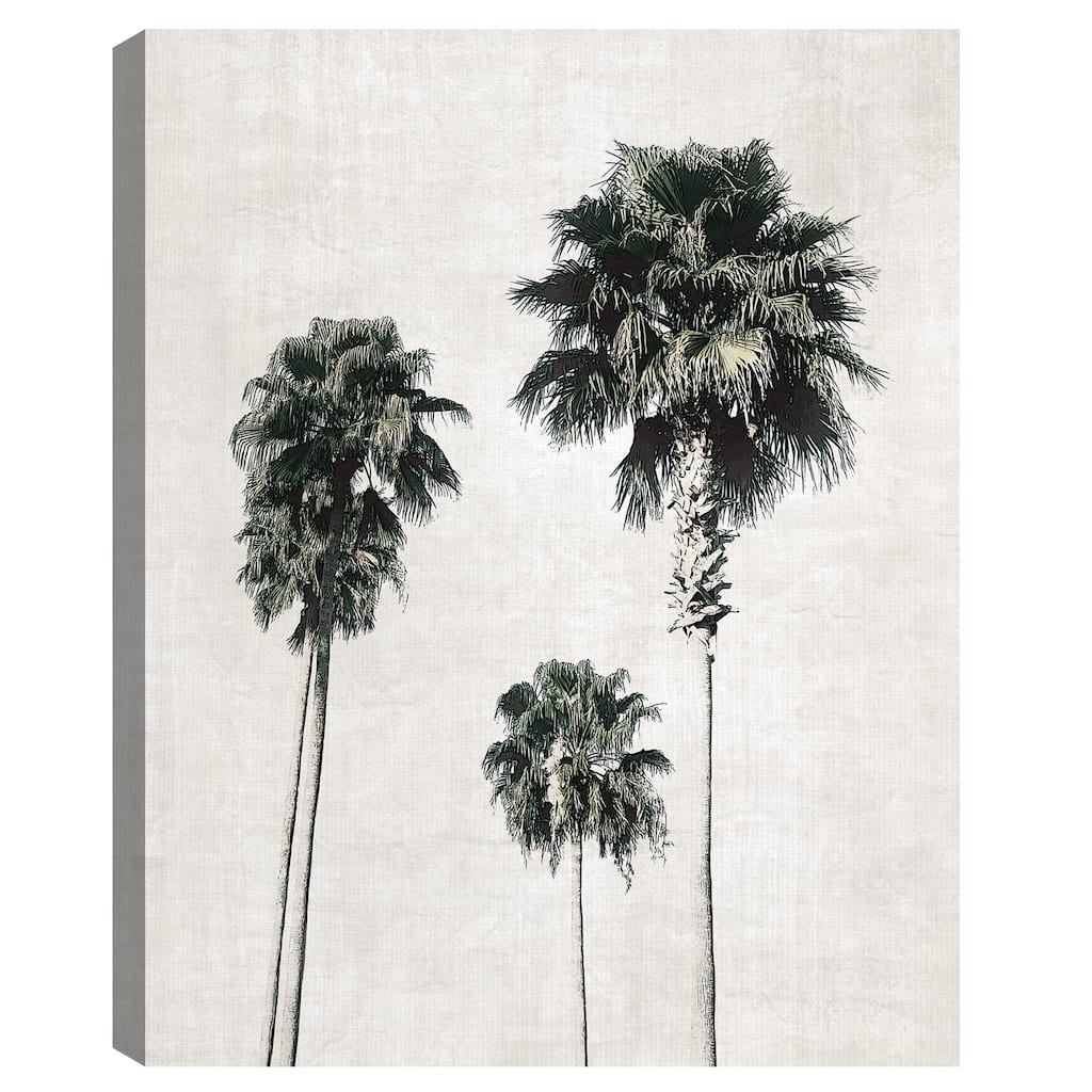 Sketchbook Palm by Natalie Carpentieri Canvas Art Print