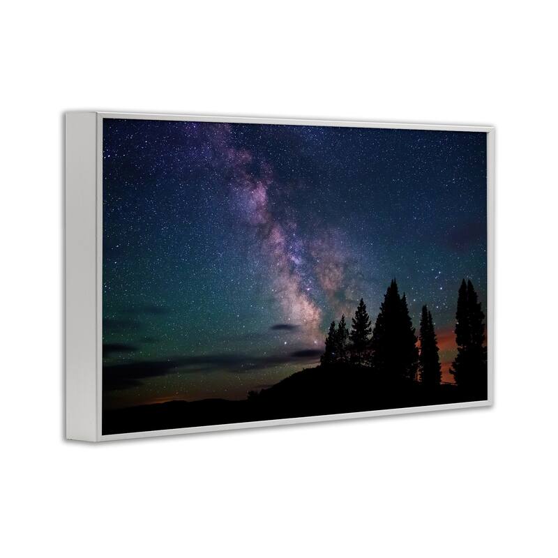 Stupell Silhouetted Forest & Night Sky Framed Giclee Art Design By Royce Bair