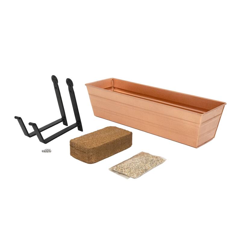 Achla Designs 22" W Galvanized Steel/Wrought Iron Bloom Box Garden Growing Kit With Wall Brackets