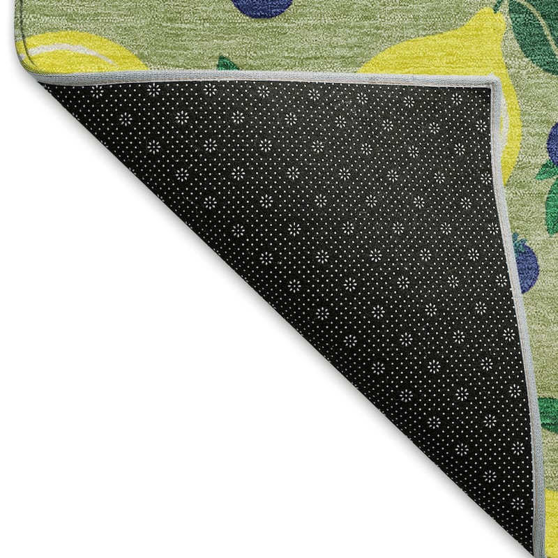 Machine Washable Indoor/ Outdoor Citrus Berry Chantille Rug