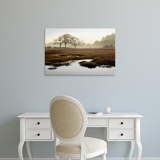 Shop Easy Art Prints Alan Blaustein S Oak Tree 65 Premium
