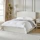 Option Ivory