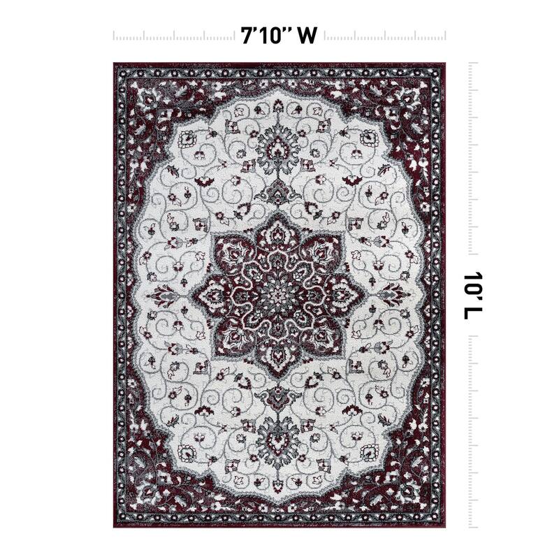 Traditional Medallion Area Rug