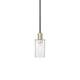 Option Black Antique Brass / Clear
