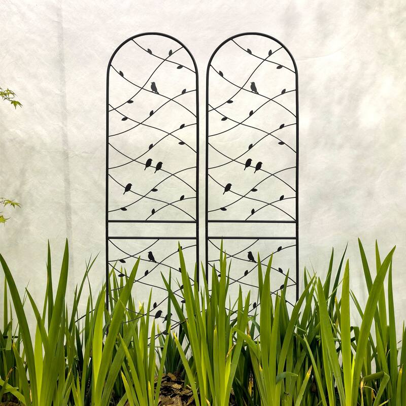 2 Pack Metal Garden Trellis Rustproof Trellis for Climbing Plants Outdoor Flower Support - Deco Black